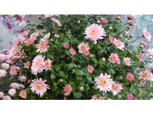 ����� � ����� ��������