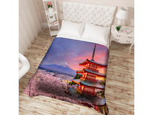 ��������� �������� 13720.jpg