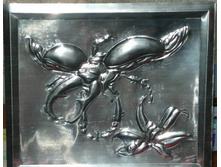 ���������������  ���