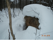 DSCN8262.JPG