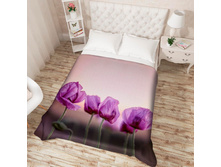 14009 ��������� �������� "���������� ����"