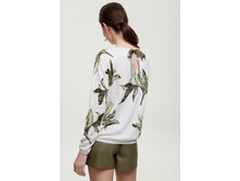 102�00�310�228   Aragog   �������(.jpg