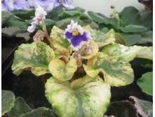 ���-�̣����� �.jpg