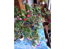 20171005 140713.jpg