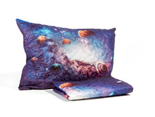 ����008-09075 1.jpg