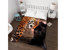 ��������� �������� 13537.jpg