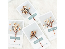 ��������������� �������� Natural beauty(6)------44���+���