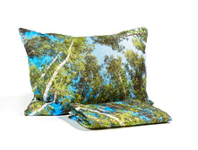 ����008-13552 1.jpg