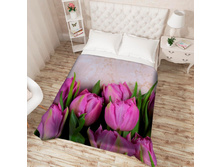 ��������� �������� 14025 "������� ��������", ����