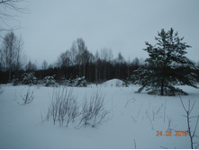 DSCN8274.JPG