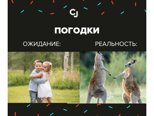 5b1b6ced493f7.png
