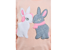 Ch2erry 6������-������� 3.jpg