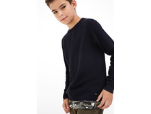 20110310057   Davidson   �����-�������(������).jpg