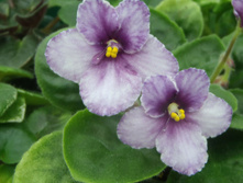 ��-������� �.jpg