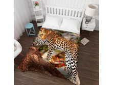 ��������� �������� 13527.jpg