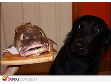 �� ��� �����?