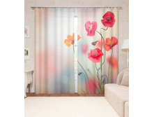 ����001-14001 2.jpg