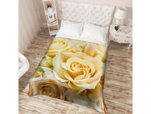 13593 ��������� �������� "����� ���"