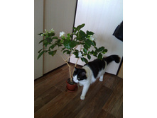 IMG 20190208 100417.jpg