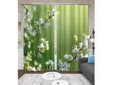 ����001-13581 2.jpg