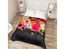 ��������� �������� 13524.jpg