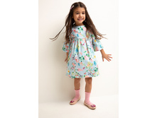 20220200347   Aglais   �������.jpg