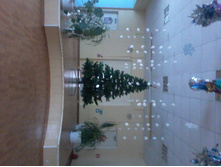 20181217 142233..jpg