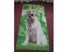 ������ ��������� ��������� ��������