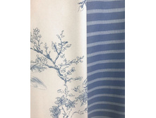 ���������� ����� �� ������� Ice Tropics