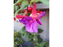 20180625 175245.jpg