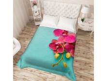 ��������� �������� 14287 "����� ��������"