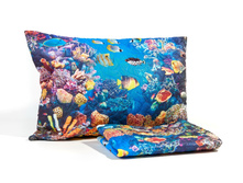 ����008-13525 1.jpg