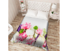 ��������� �������� 13522.jpg