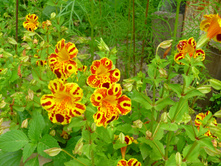 P1000466.JPG