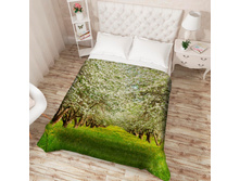 ��������� �������� 13545.jpg