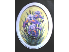 ����� ������� ����������� ����.jpg