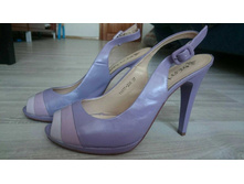 ��������� �.37 Destina =800 ������ ���� 2000 � ���.������