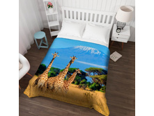 ��������� �������� 13528.jpg