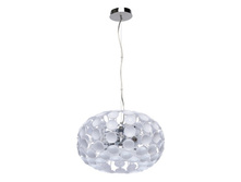 298012803 5800�.jpg