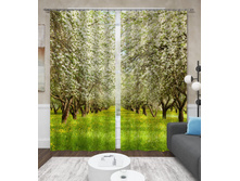 ����001-13545 2.jpg