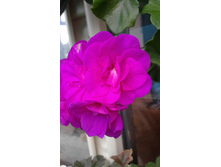 20160916 175402.jpg