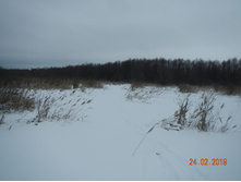 DSCN8271.JPG