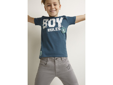 20110110176   Tesla   �����-�������.jpg