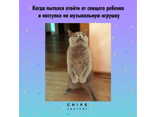 5c29d7ff1b00e.png