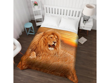 ��������� �������� 13530.jpg