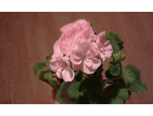20161016 174521.jpg