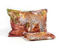 ����008-13527 1.jpg