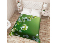 ��������� �������� 13581.jpg