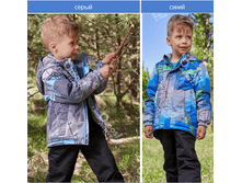 ������ ��**�� 3491�