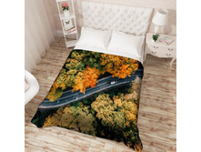 ��������� �������� 13551.jpg